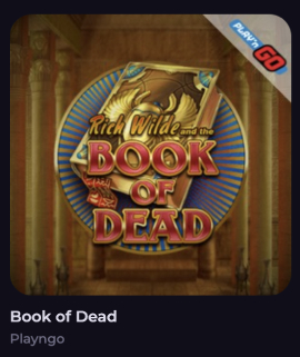 Cryptoleo Casino Book of Dead